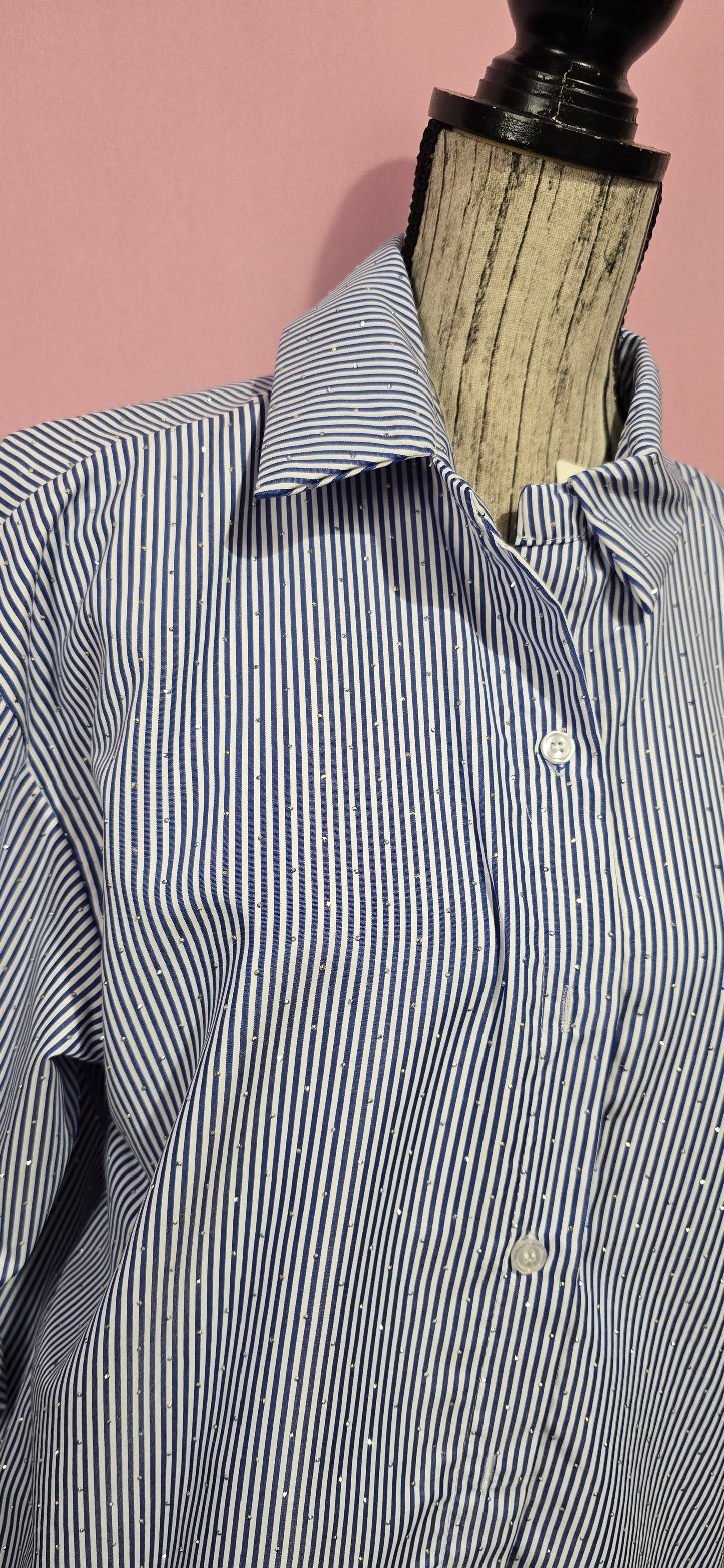 Camicia classica righe con strass