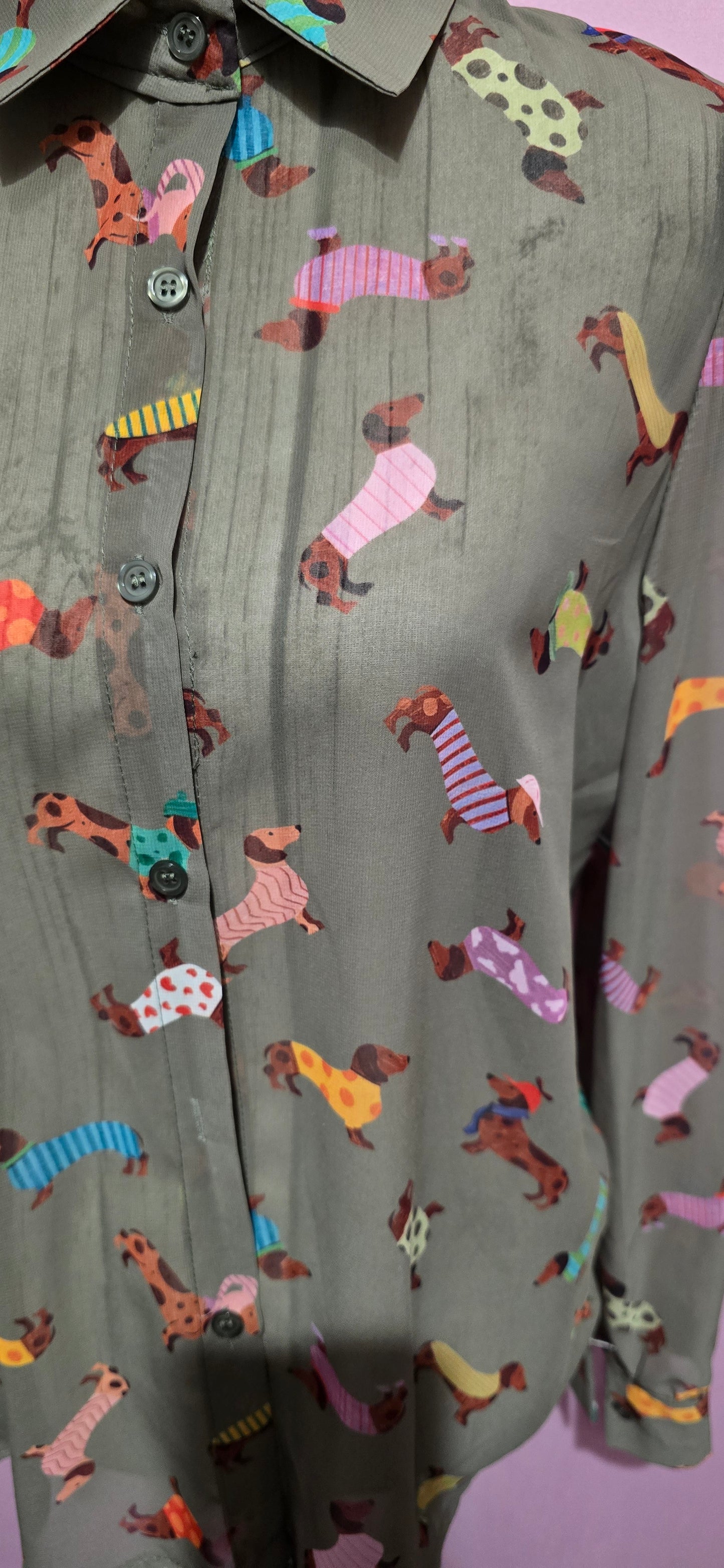 Camicia bassotto verde